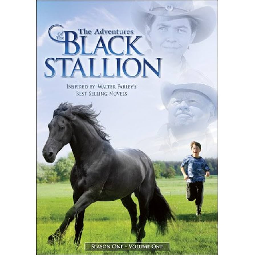 (未使用･未開封品)Adventures of Black Stallion: First Season [DVD] Adventures of the Black Stallion: Season 1, Vol. 1 [DVD